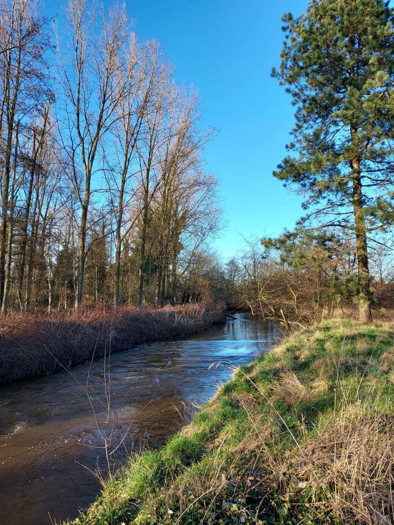 Rustig Gelegen Chalet Kapeki Met Tuin Aan Het Water Geel Extérieur photo